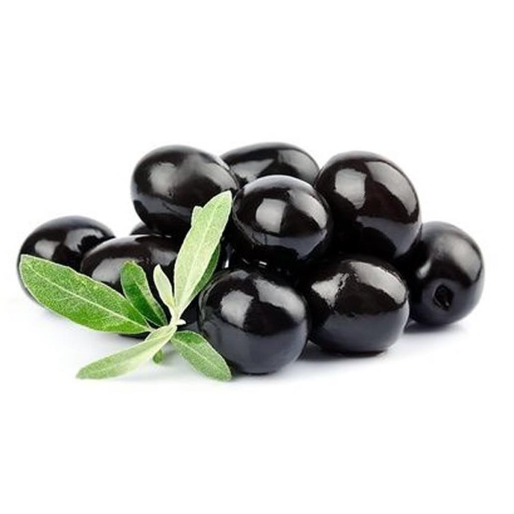 Tüplü Gemlik Trilye Zeytin Fidanı