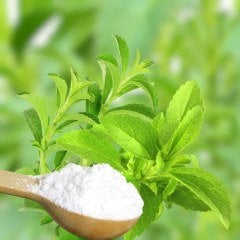 Şeker Otu Stevia Fidesi (100 adet)