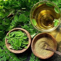 Tüplü Mucize Moringa Ağacı Fidanı (120-170 cm)
