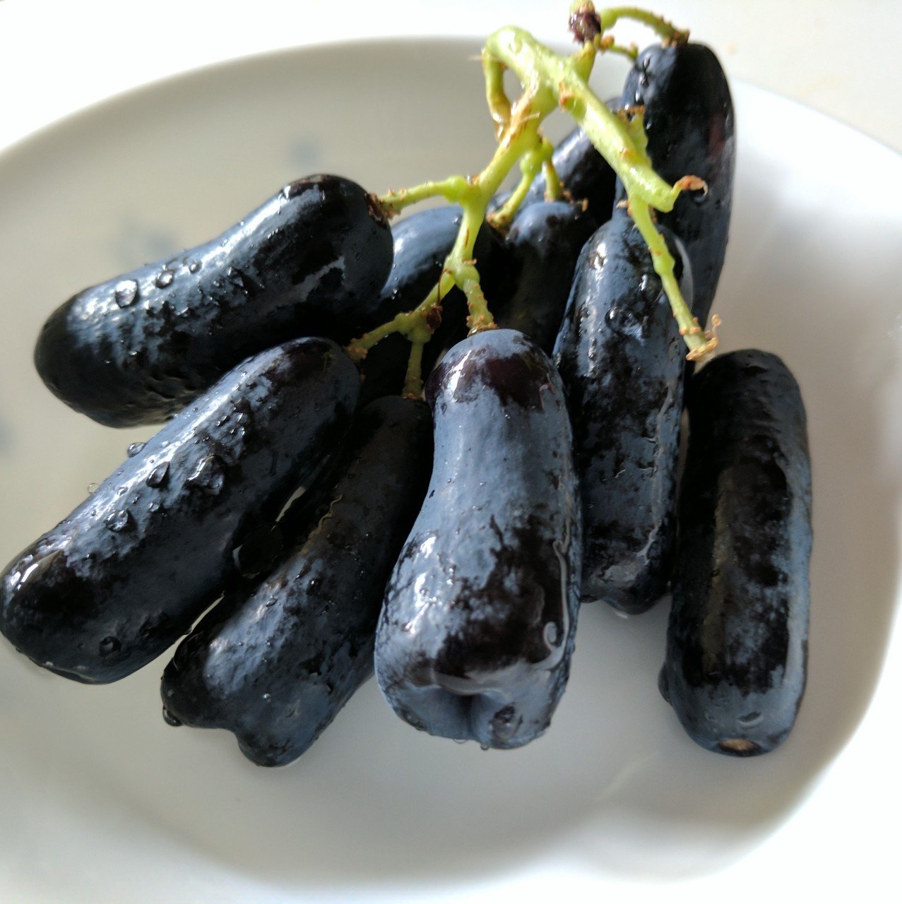 Tüplü Çekirdeksiz Finger Black Üzüm Fidanı (5 adet)