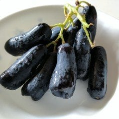 Tüplü Çekirdeksiz Finger Black Üzüm Fidanı (5 adet)