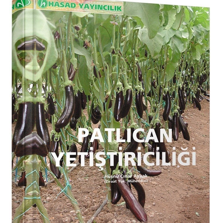 Patlıcan Yetiştiriciliği Kitabı
