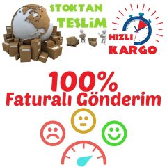 Tüplü Yediveren Osiria Kırmızı Beyaz Renkli Türk Gülü Fidanı (80-120 cm 4-5 Yaş)