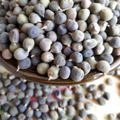 Şifa Kaynağı Doğal Bamya Tohumu (1 kg)