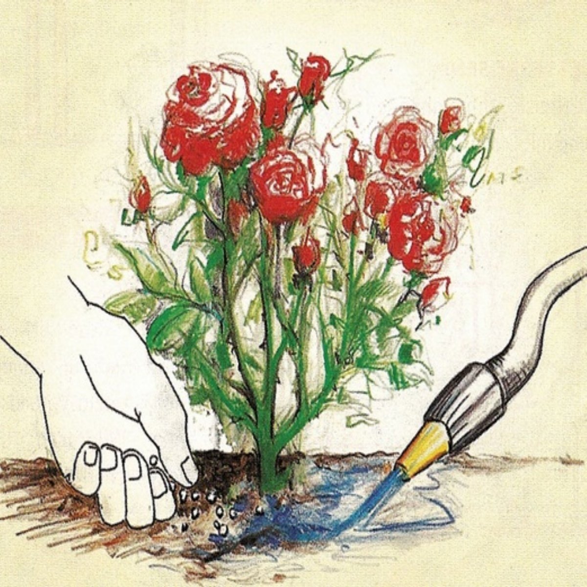 Gül Gelişim ve Gonca Çapı Artıran Gübre(1 kg)