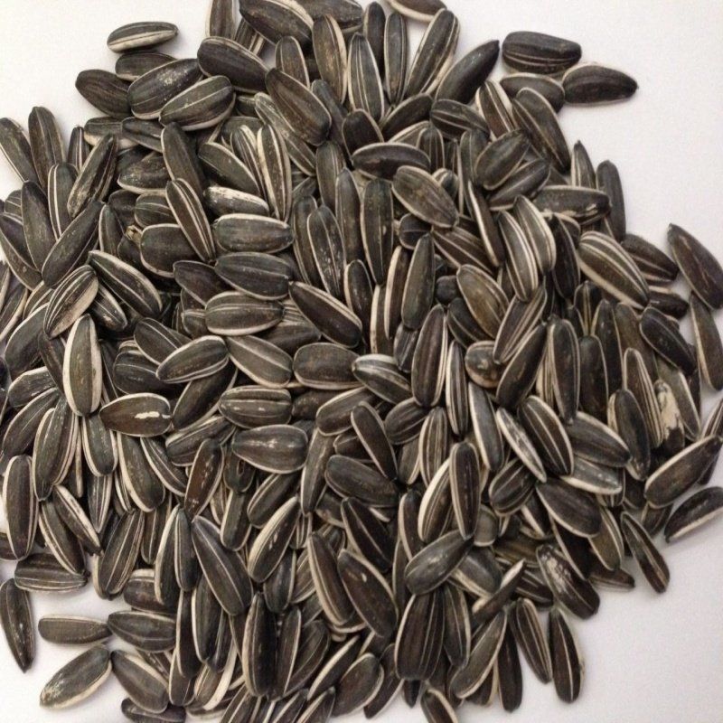 Doğal Siyah Çerezlik Çitlemelik Ayçiçeği Çekirdek Tohumu (1 KG)