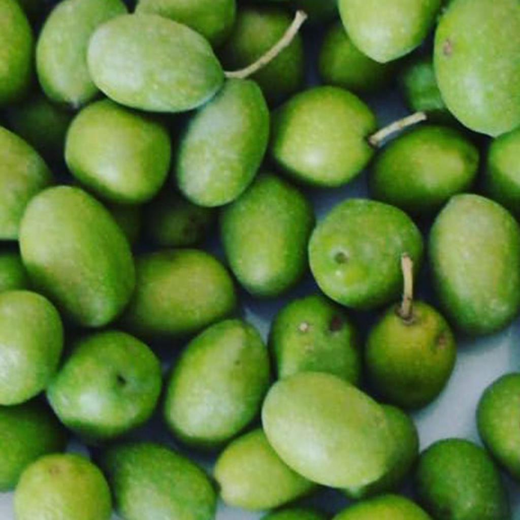 Naturel Orta Boy Sarı Ulak Zeytini (20 kg)