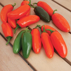 Geleneksel Zehir Gibi Acı Çok Acı Gialla Jalapeno Biber Tohumu (10 tohum)