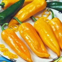 Geleneksel Corno Di Toro Giallo Sarı İtalyan Kapya Biber Tohumu (10 tohum)