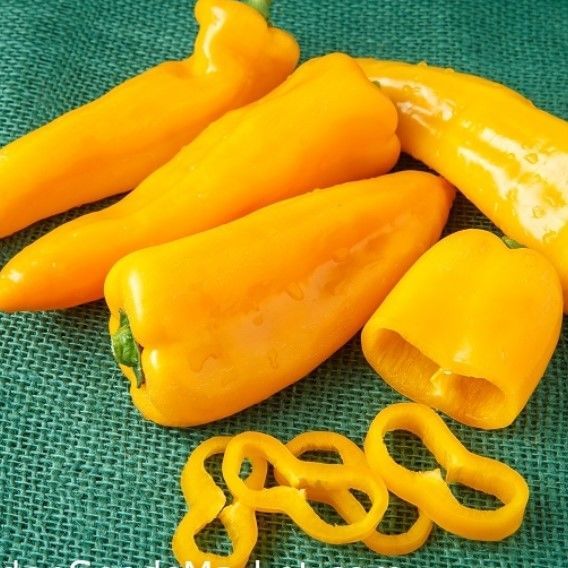 Geleneksel Doğal Acı Yellow Jalapeno Biber Tohumu (10 adet)