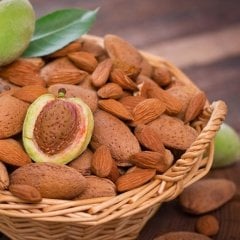 Tüplü Aşılı Özel Ürün Sert Kabuk Tam Bodur Marta Badem Fidanı