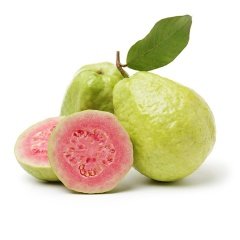 Tüplü Nadir Armut Guava Fidanı Meyve Verme Yaşında