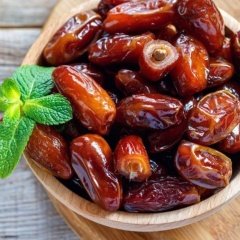 Tüplü Arabistan Hurması Fidanı