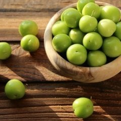 Tüplü Aşılı Bol Verimli Tam Bodur Cin Erik Fidanı