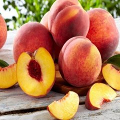 Tüplü Aşılı Özel Aromalı Bol Verimli Tam Bodur Carselet Şeftali Fidanı
