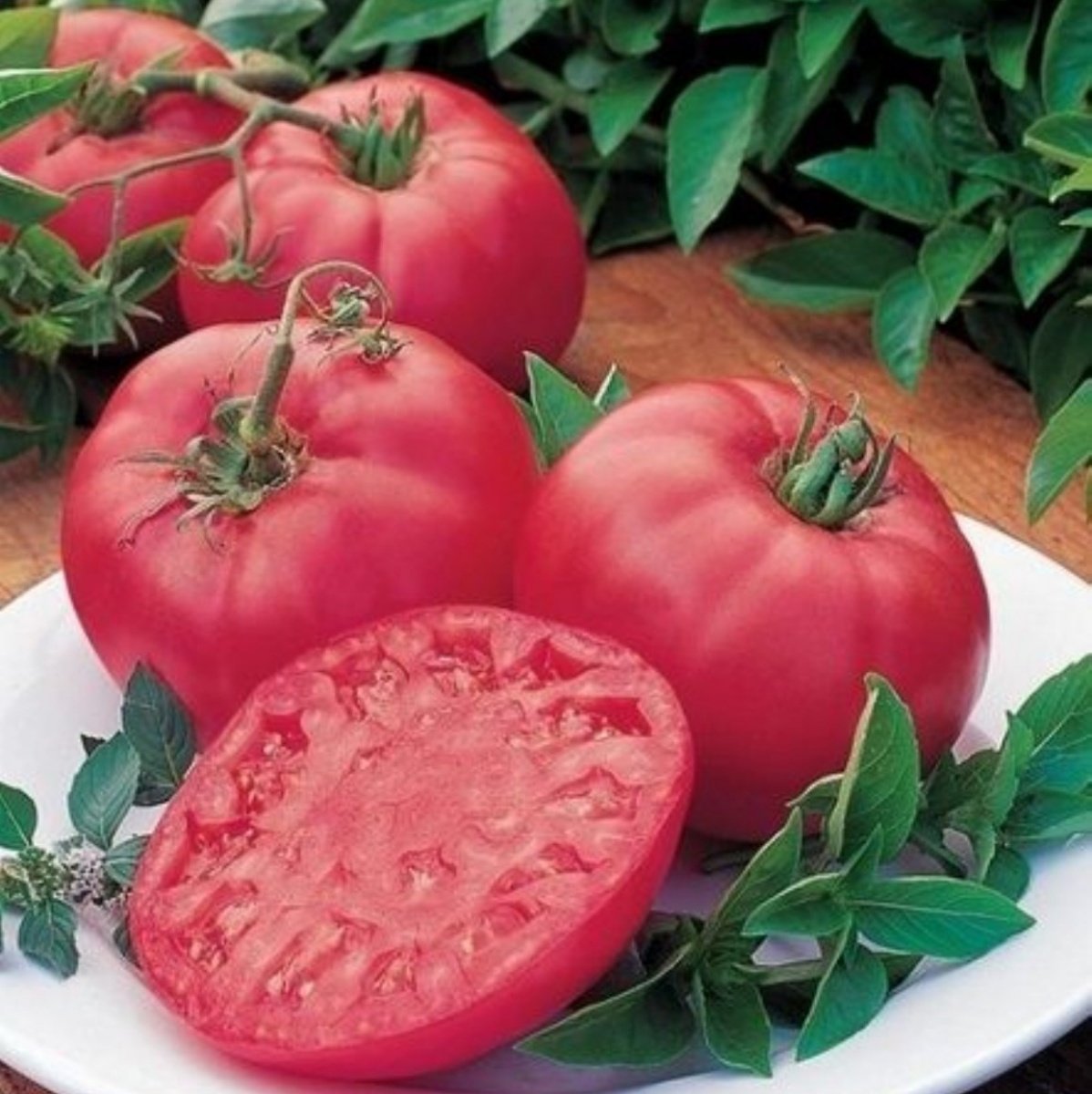 İri Oturak Nadir Pink Beef Pembe Domates Fidesi (5 adet)