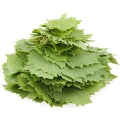 Tüplü Özel Ürün Yapraklık Sarmalık Dolmalık Üzüm (Asma-Bağ) Fidanı