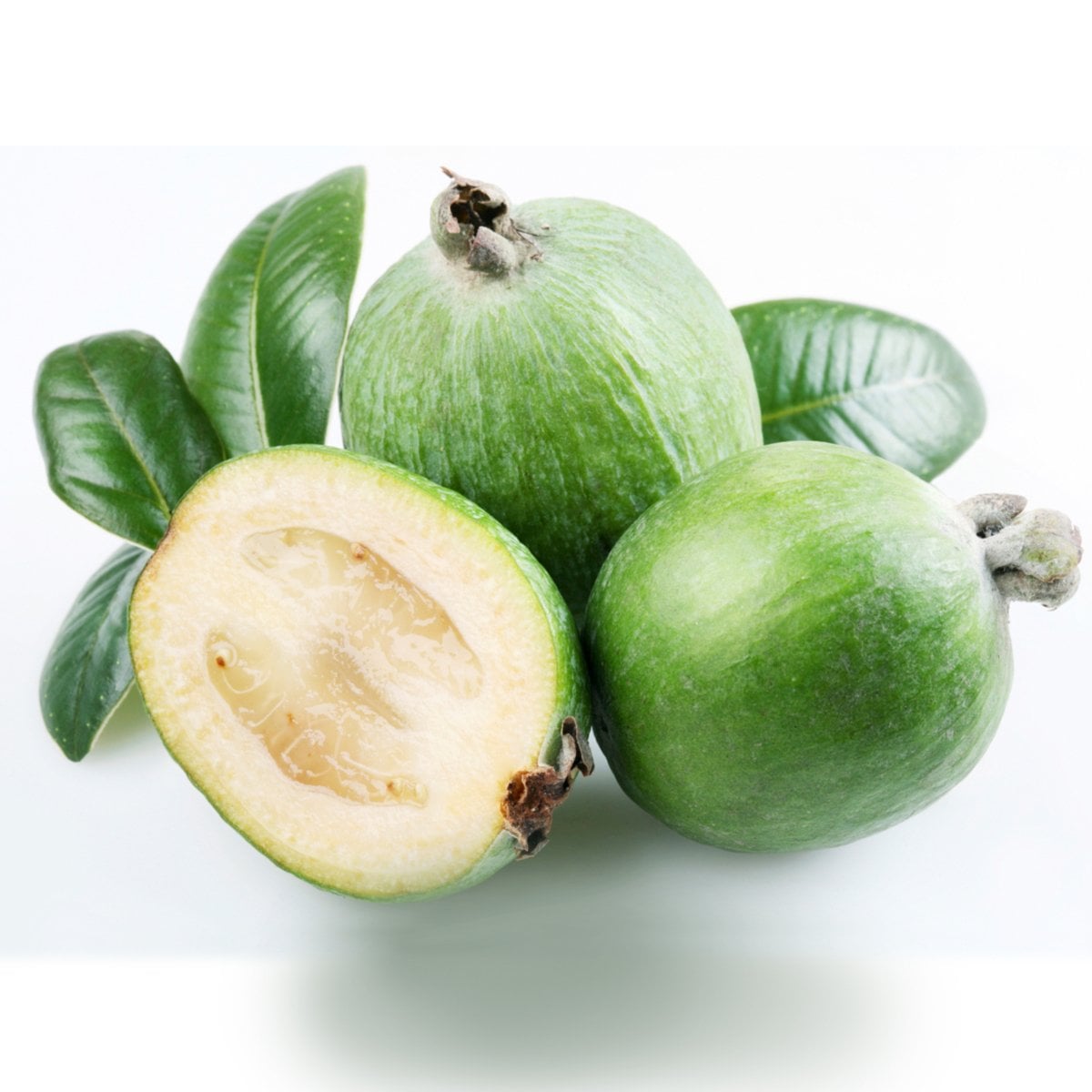 Tüplü Nadir Bulunan Feijoa (Kaymak) Ağacı Fidanı