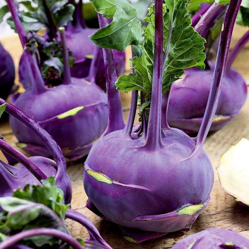 Ata Tohumları Mor Kohlrabi (Alabaş) Tohumu (15 Tohum)