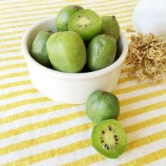 Tüplü Tüysüz (Bebek Kivi) Hardy Kivi Fidanı
