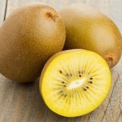 Tüplü Bol Verimli Gold Kivi (Altın Kivi) Fidanı (1 Dişi + 1 Erkek)