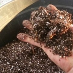 Genel Kullanım Torf Kokopit Pomza Toprak Harcı (45 Litre)