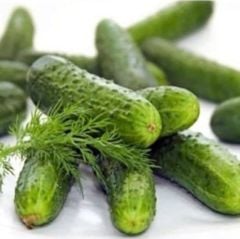 Bol Döken Rocket F1 Turşuluk Kornişon Hyar Tohumu (10 tohum)