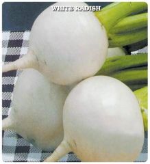 Ata Tohumu Geleneksel Anadolu Beyaz Turp Tohumu (50 tohum)