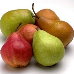 Ilıman İklime Sahip Bölgeler İçin Tüplü Aşılı Yarı Bodur Armut Fidanı Paketi