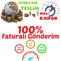 Tüplü Yediveren Osiria Kırmızı Beyaz Renkli Türk Gülü Fidanı (80-120 cm 4-5 Yaş)