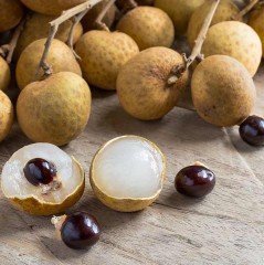 Tüplü Small Ball Longan Meyve Fidanı