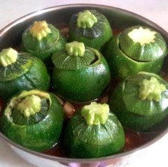 Yazlık Dolmalık Geleneksel Topak Kabak Fidesi (5 adet)