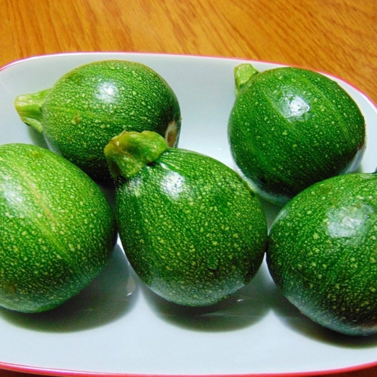 Yazlık Dolmalık Geleneksel Topak Kabak Fidesi (5 adet)