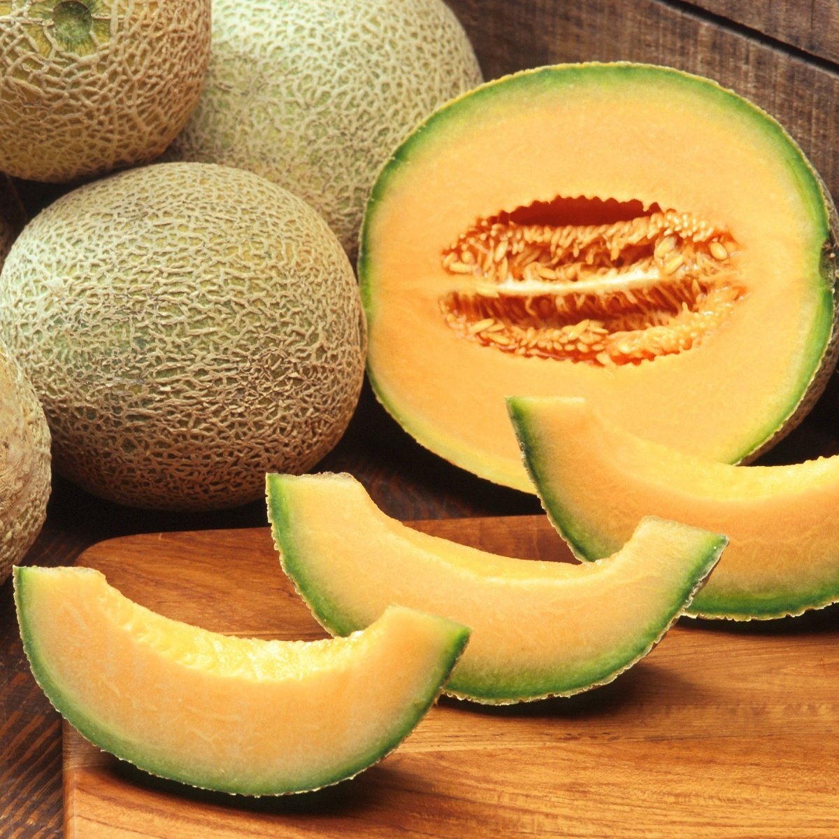 Verimli Geleneksel Sancar Erkenci Cantaloupe Kavun Fidesi (5 adet)
