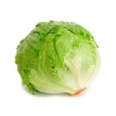 Doğal Geleneksel Iceberg Marul Fidesi (5 adet)