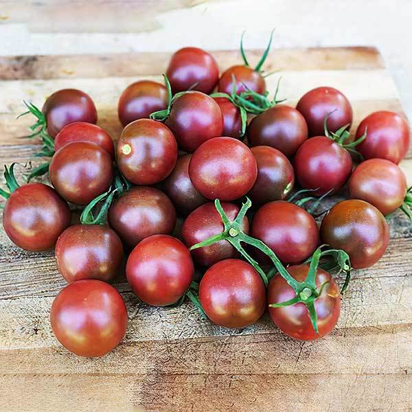 Kokteyl Sırık Mirra F1 Siyah Domates Fidesi (5 adet)