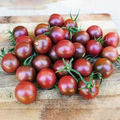 Kokteyl Sırık Mirra F1 Siyah Domates Fidesi (5 adet)